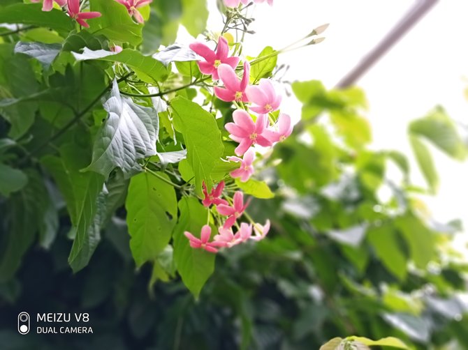 魅族V8高配版评测:黄章亲自打造的基本款