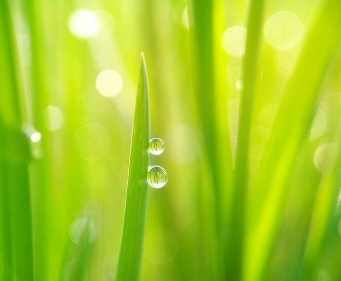 大放异彩的体验 努比亚Z18mini微距相机了解下