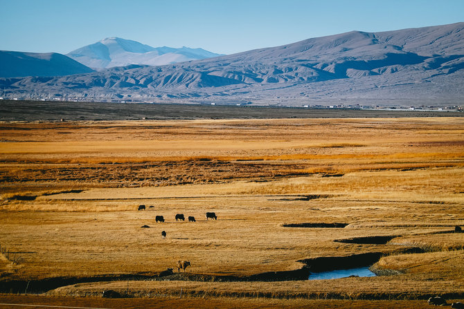 不止于备机更可当主力 索尼黑卡RX100M6新疆拍摄体验