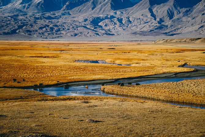 不止于备机更可当主力 索尼黑卡RX100M6新疆拍摄体验