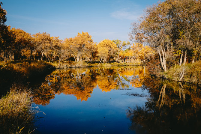 不止于备机更可当主力 索尼黑卡RX100M6新疆拍摄体验