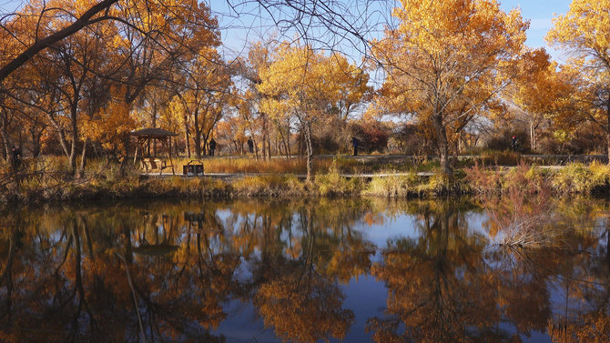 不止于备机更可当主力 索尼黑卡RX100M6新疆拍摄体验