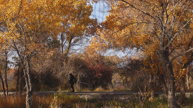 不止于备机更可当主力 索尼黑卡RX100M6新疆拍摄体验