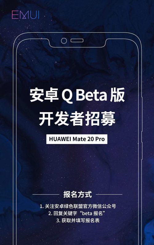 õ ΪMate 20 ProAndroid Q