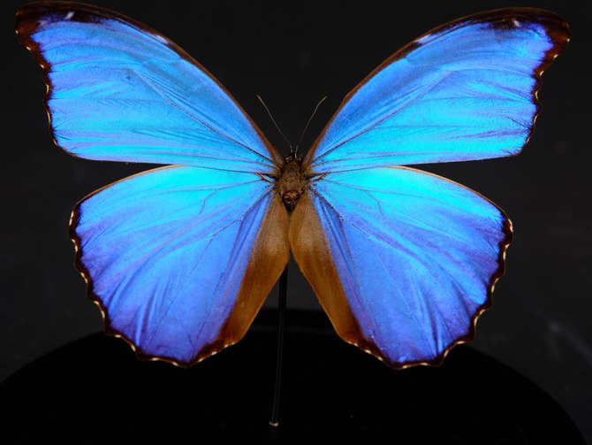 һΪǴʲôʿGFX100
