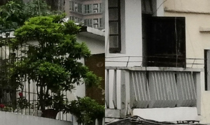 ҫ20 PRO⣺ֵ㣬콢ҫǳ