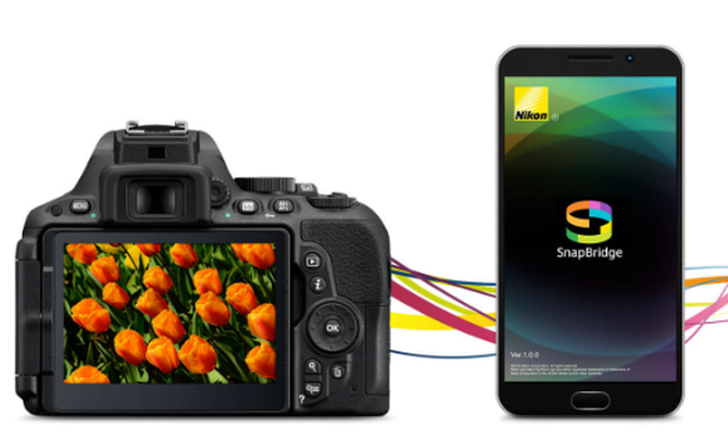 ῵ D600šһ䣿ά޷񵹼ʱ6