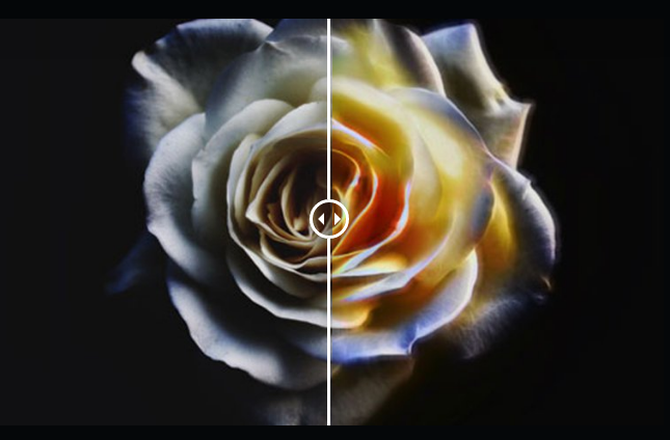 Topaz Studio 2ʽߣ200˾ѡ