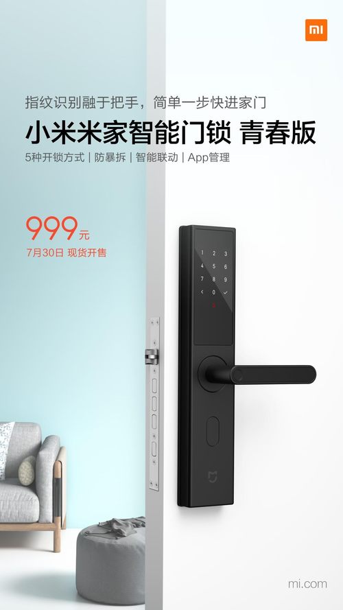 ΢ƽ ֧Сͬѧ ׼΢¯399Ԫ
