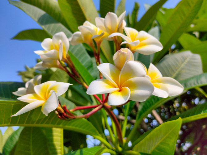 realme 6400万像素四摄体验:手机影像力的又一