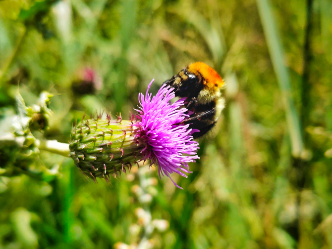 1240801.png_i-730x550