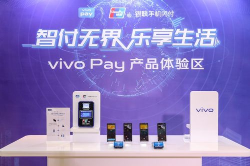 ޿Ǹʱ vivoЯйʽvivo Pay