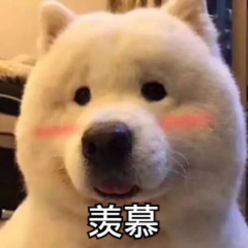 ҹ˾ǰԱš١