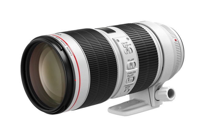 ޷桰ССסܹRF 70-240mm f/4 ISͷר