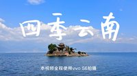 ǿո vivo S6ɶƵ