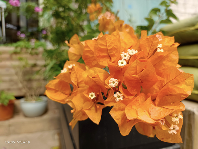 vivo Y52s��ʽ����Cλ����ð�⡱ǧԪ�г�