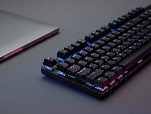 3192875.jpg_i-500x280