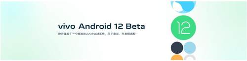 vivo��������Android 12 Beta�棬��һʱ��Ϊ�������ṩ�������