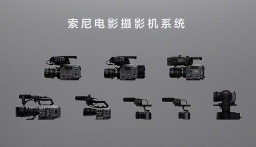 钱添添谈索尼CineAlta星空体育平台B：如何拍出“胜券在握”的自信(图18)