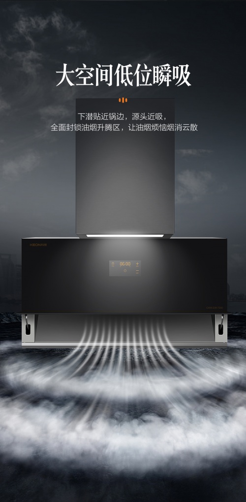 十大烟机品牌排行榜_2011中国厨房电器十大品牌排行榜九正建材网|专题