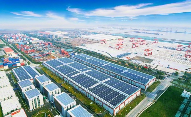 1748578860290820.jpg 7834a2029e32b4c68913c26a5719db5.jpg