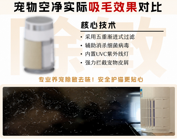 图片 3.png