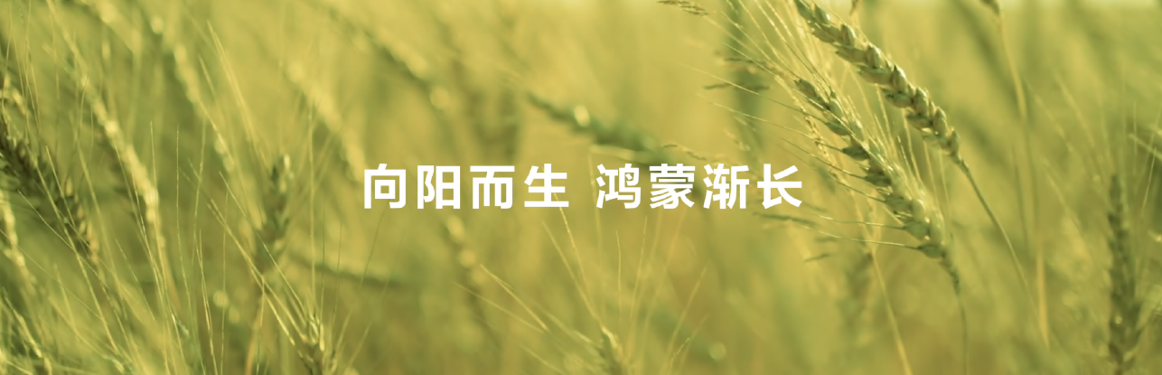 微信图片_20250623200903.png 微信图片_20250623200903.png
