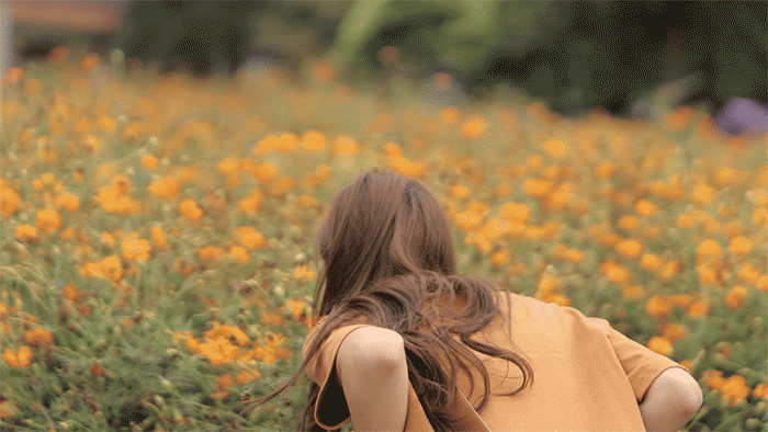 1758076629164679.gif 4.gif