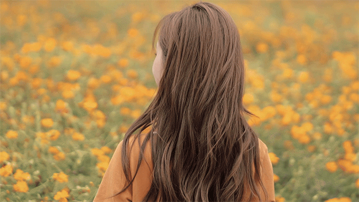 1758076980471980.gif 16.gif