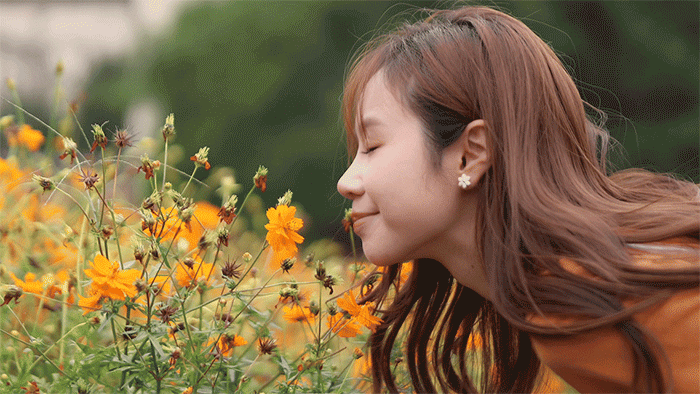 1758080120274381.gif 34.gif