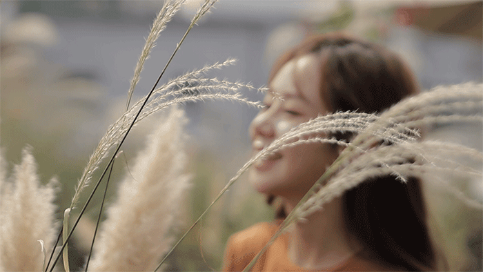 1758080142773920.gif 35.gif