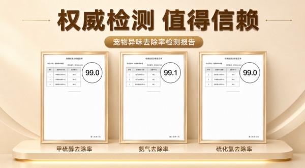 图片 4.jpg