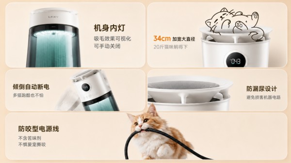 图片 6.jpg
