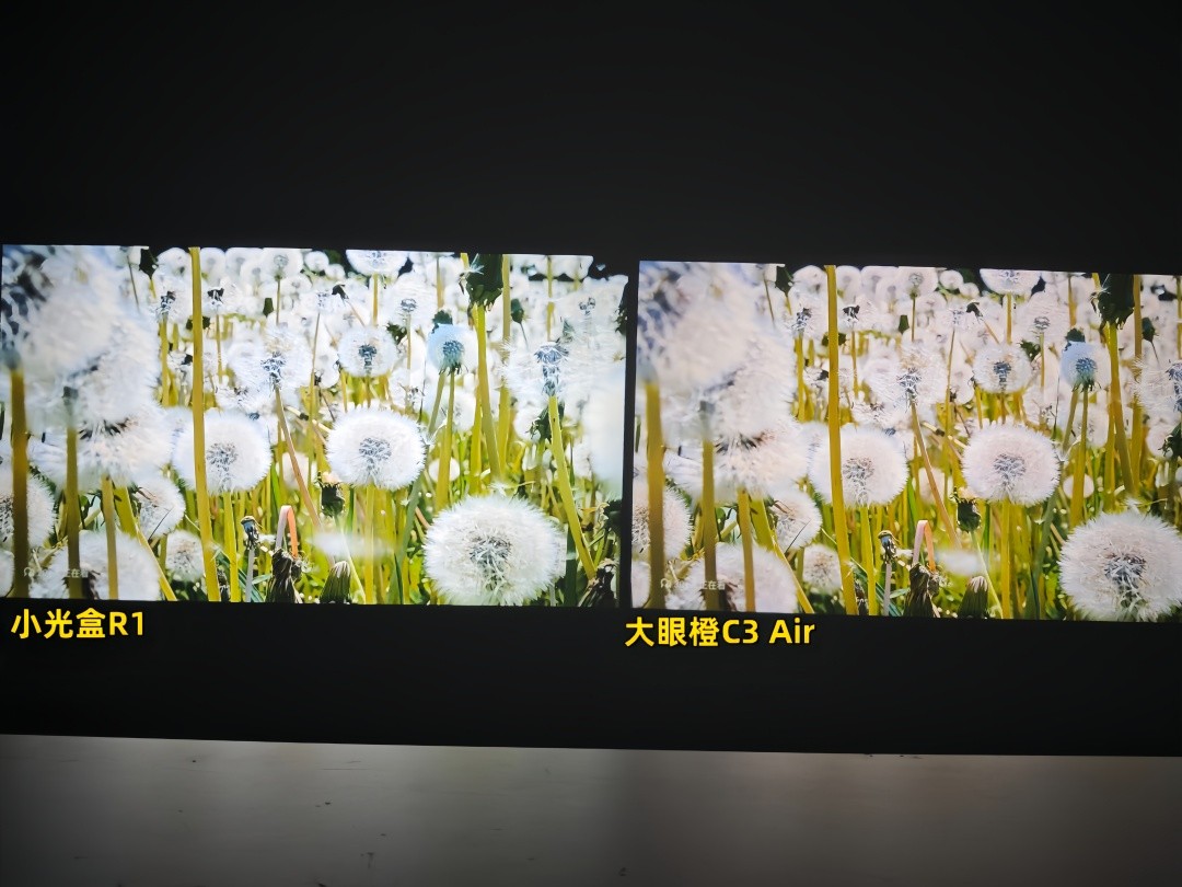 正文图片3