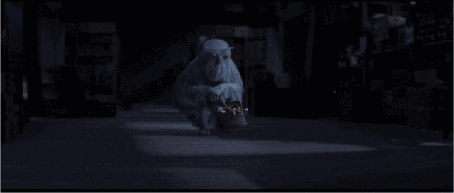 《神奇动物在哪里2》热映,那些神奇的动物你了解吗?