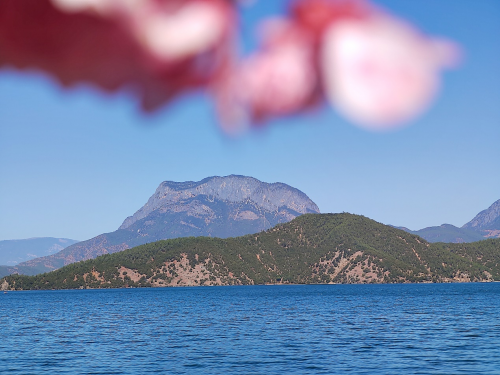 �״���������C1רҵӰ��оƬ��С���۵���MIX FOLDΪ���¼����˲��