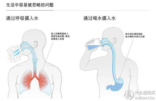 加湿器大作战-沃拿多、巴慕达和戴森到底哪家胜出？地表序列之争篇