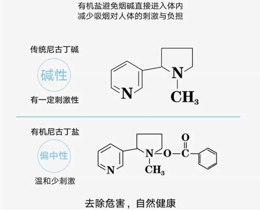 独有海盐尼古丁技术,助力铂德保持行业领先地位