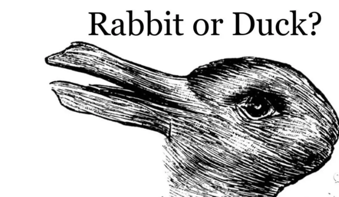 鸭兔错觉图图片