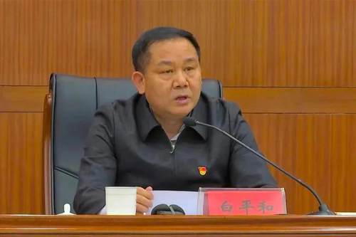 千人参会,华平助力临淄区政府召开首次远程视频会议!