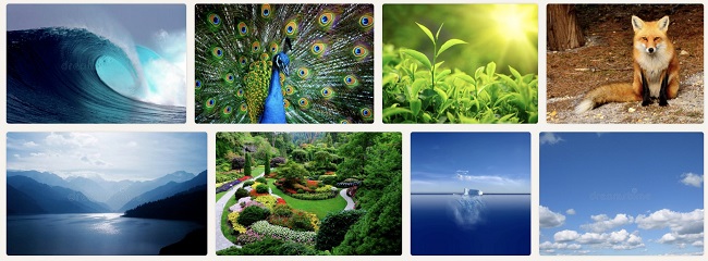 摄图·新视界与dreamstime达成战略合作,可提供2亿 视觉素材下载!