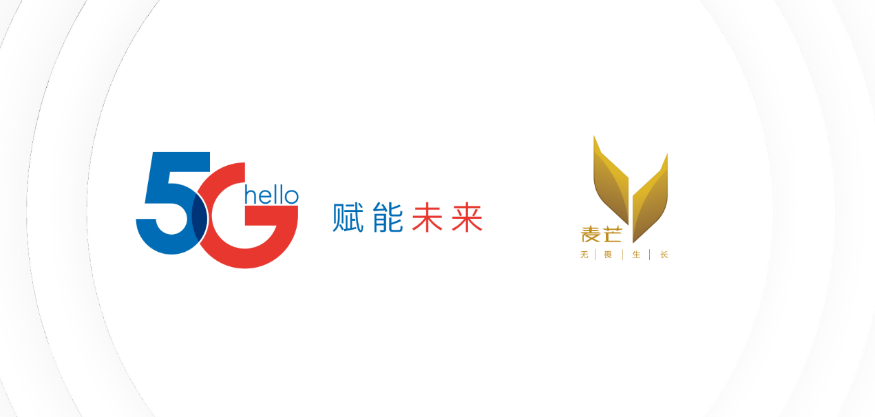 无畏有为锋芒生长中国电信发布麦芒10se5g手机